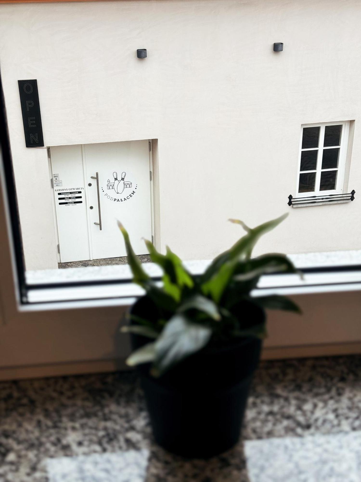 Pokoje Pod Palacem Koszecin Habitación foto